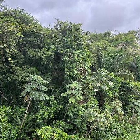 Camp de Rémire Cocon Calme Et Reposant 아파트 외부 사진